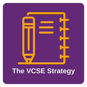 VCSE Strategy