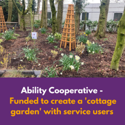 Ability Cooperative small