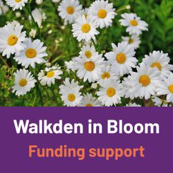 Walkden in Bloom