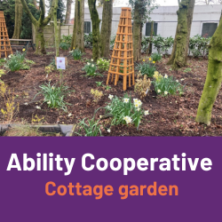 Cottage garden