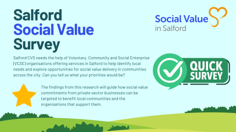 Social Value Survey image