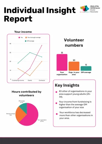 Insight report example