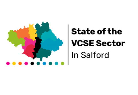 State of the VCSE Sector