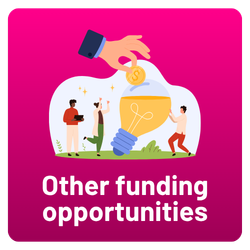 Other funding opportunities