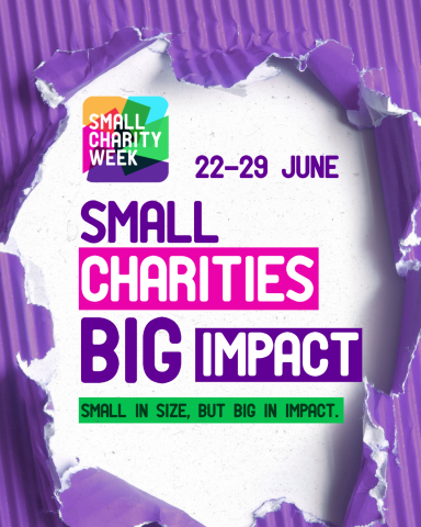 Purple graphic that reads "Small charities big impact! Small in size, but big in impact"