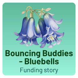 Bouncing Buddies