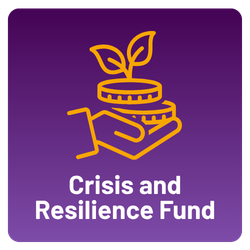 Crisis and Resilience Fund