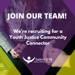 Youth Justice Community Connector