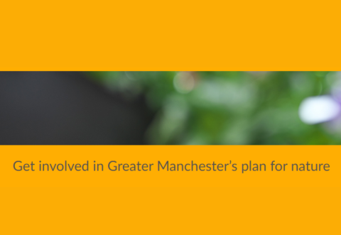Get involved in Greater Manchester’s plan for nature screenshot